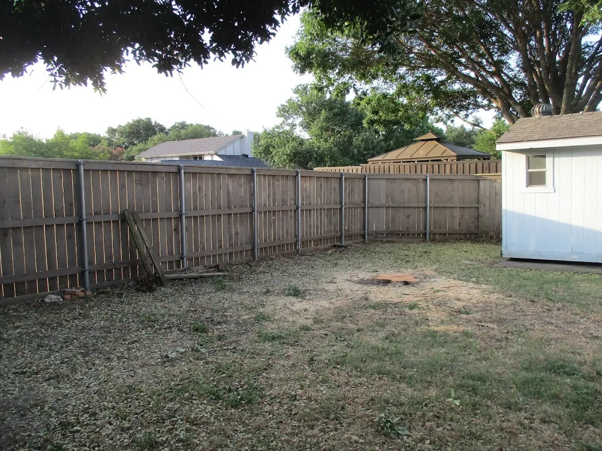 Cleared yard after professional tree removal in Gouldsboro